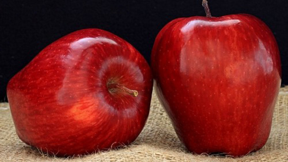 БГ ябълките много по-чисти от вносните | StandartNews.com