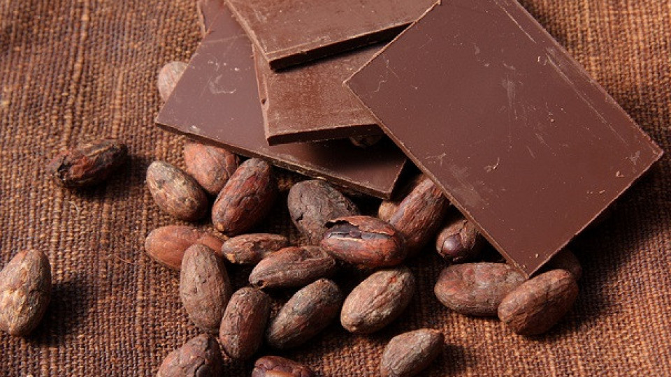 Какаото е полезно за мозъка | StandartNews.com