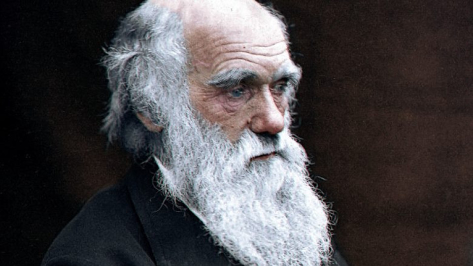 Откраднаха бележници на Дарвин за милиони | StandartNews.com