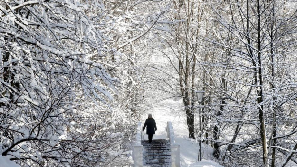 Сибирски студ идва. Ще има ли сняг? | StandartNews.com