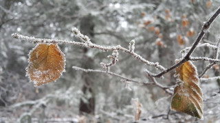 Затопляне. Живакът скача до 13°