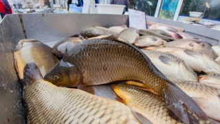 Рибен пазар на жълтите павета