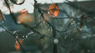 Времето: Продължават да ни мъчат мрак и дъжд