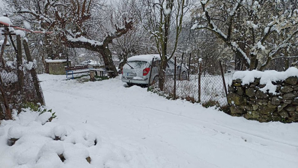 Дебел сняг трупа в страната! Вижте къде | StandartNews.com