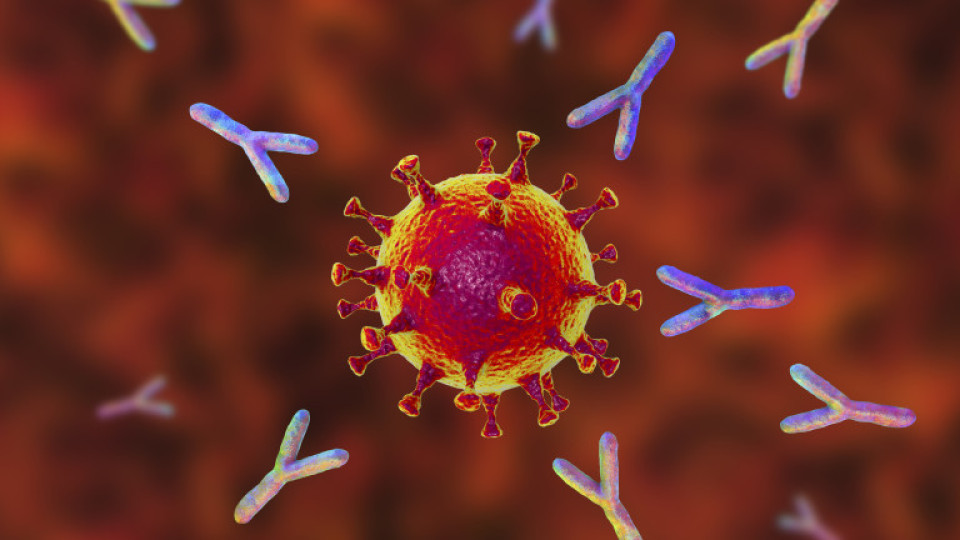 По-тежките случаи на К-19 с повече антитела | StandartNews.com