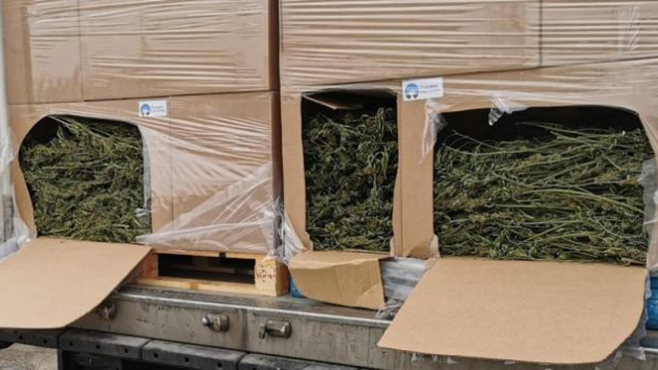 Камион с дрога на Дунав мост | StandartNews.com