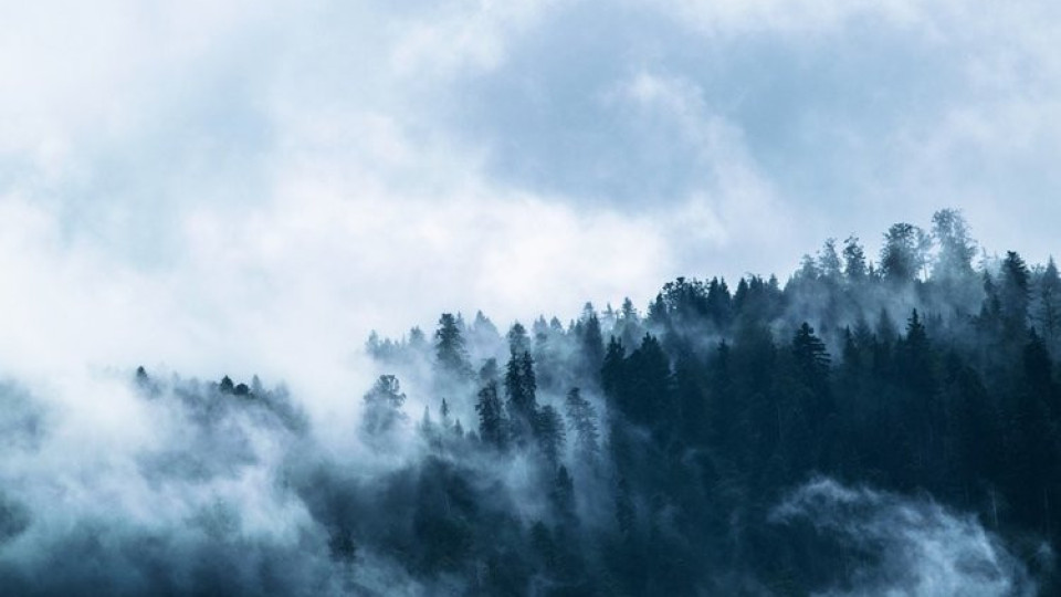 Мъгли в градовете, сняг в планините | StandartNews.com