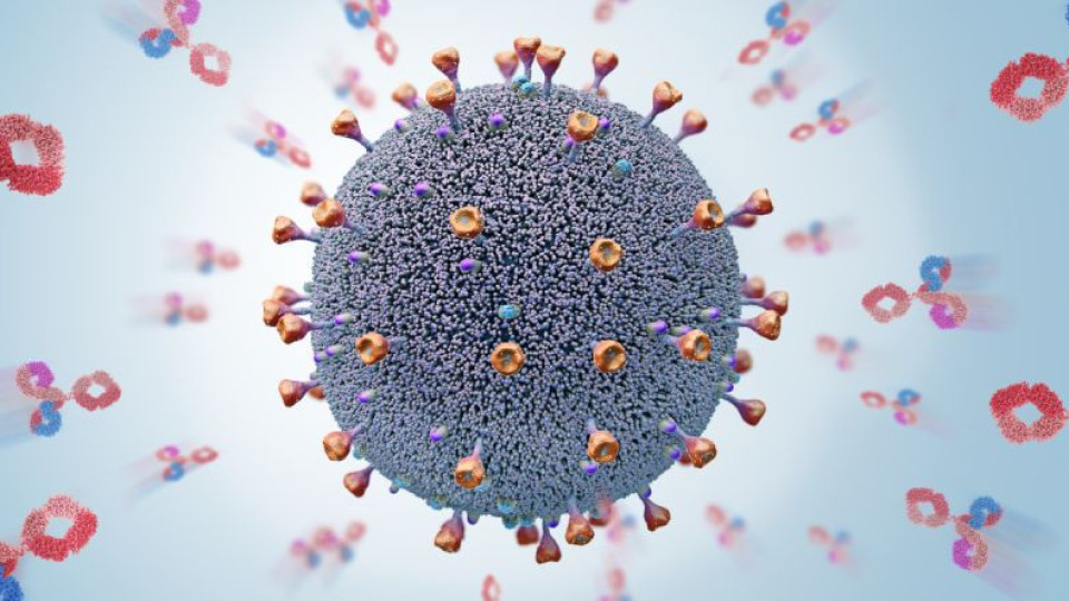 Откритие: Колко се задържа имунитетът след COVID? | StandartNews.com