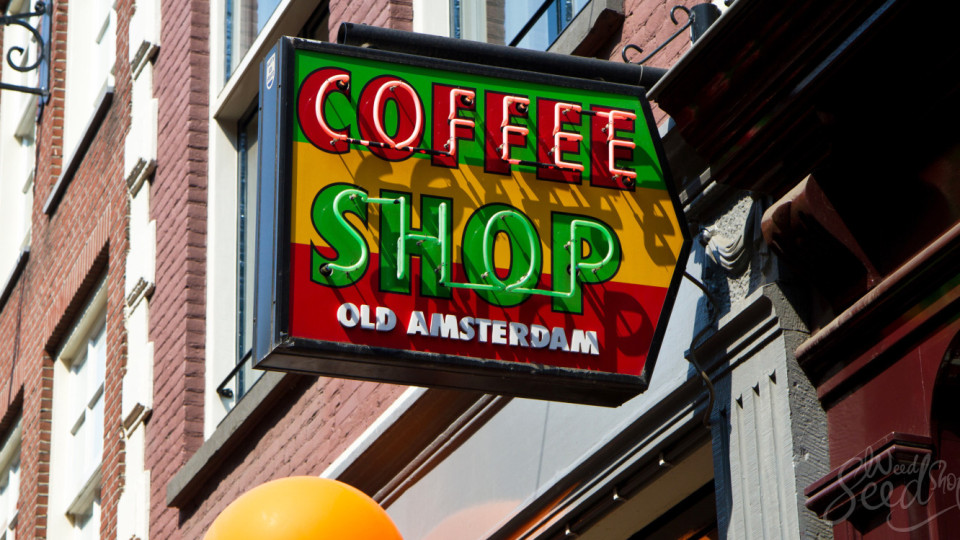 Без кофишопове за туристи в Амстердам | StandartNews.com