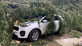 В зимната буря: Дърво смаза 5 коли в Пампорово