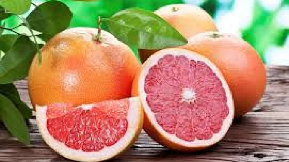 Важно: Кога е вреден грейпфрутът? | StandartNews.com