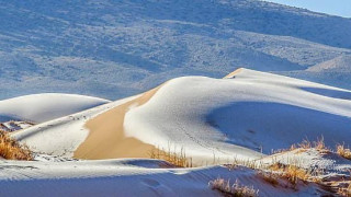 Сняг и лед в Сахара. Вижте го /СНИМКИ/