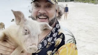 Киркоров храни прасета на Бахамите