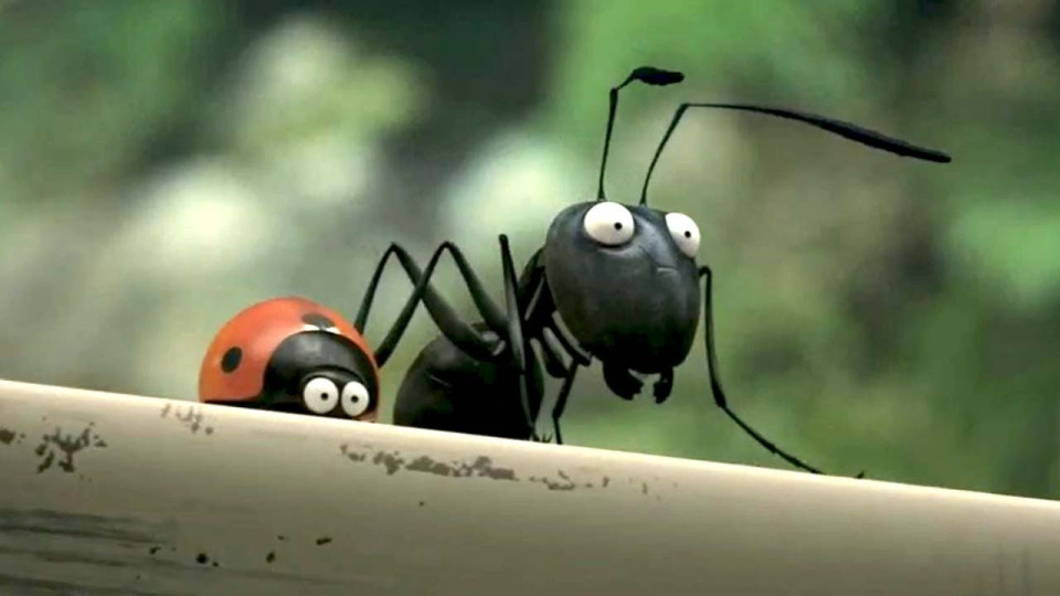 Мравката, която разбуни нацията | StandartNews.com
