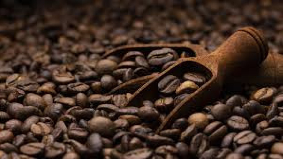 Кафето пази черния дроб от опасни болести | StandartNews.com