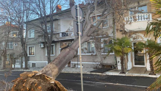 Ураганът помете Бургас. Изтръгна дървета