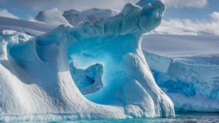 Странни създания под арктическия лед
