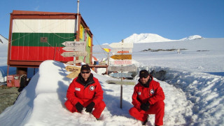 Яйца от пингвини ядат на Антарктида