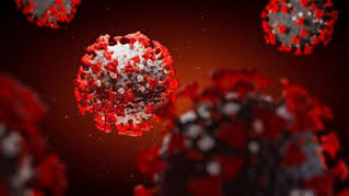 Жертвите на коронавирус минаха 2,5 милиона