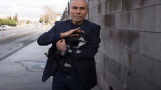 Али Агджа се грижи за бездомни котки в Истанбул
