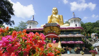 Ноу хау: Шри Ланка пусна туристи, но в "био балони"