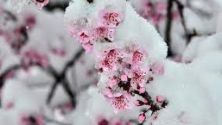 Климатолог: Вадете ските за първа пролет!