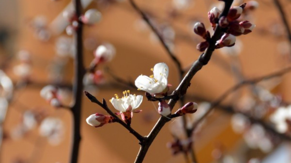 Пролетта идва днес в 11.39 ч, а с нея - и промяната | StandartNews.com