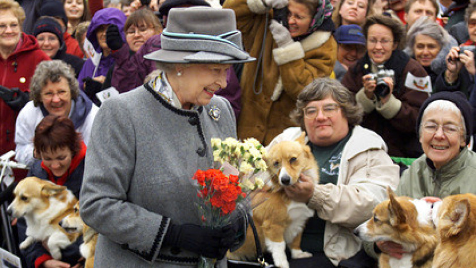 Подариха на Елизабет две кучета, за да я утешат | StandartNews.com