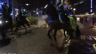 Бой в Бристол: С кучета и коне срещу протеста