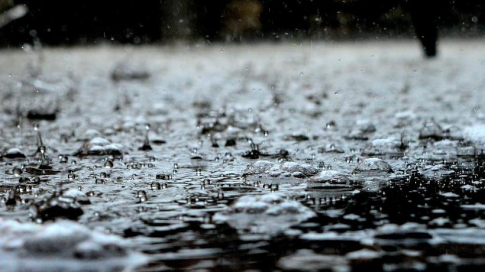 Дъжд цял ден - не става за риба, нито за гъби | StandartNews.com