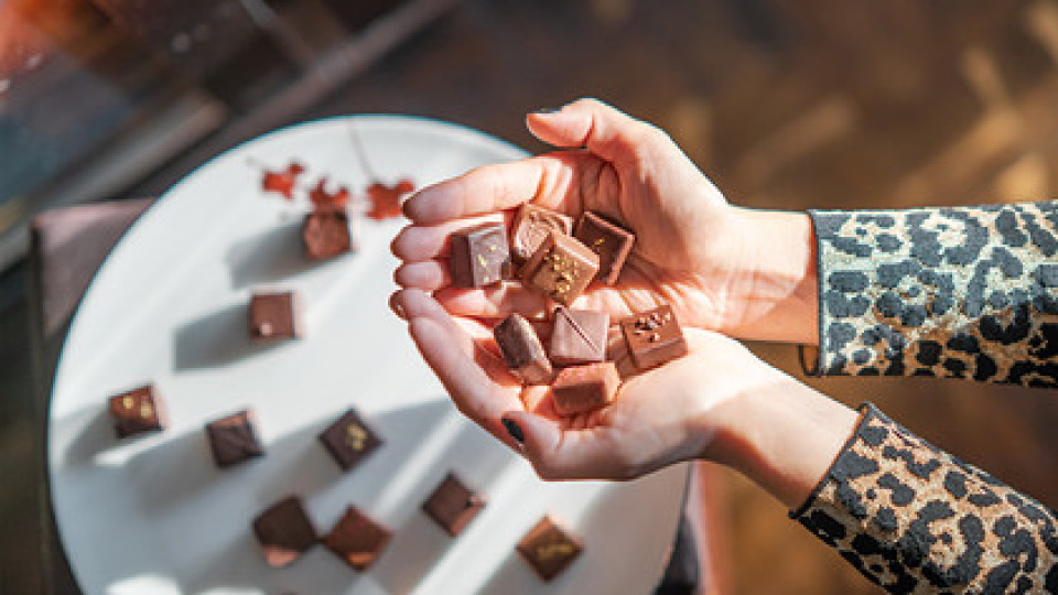 Развенчаха мита, че шоколадът е здравословен | StandartNews.com