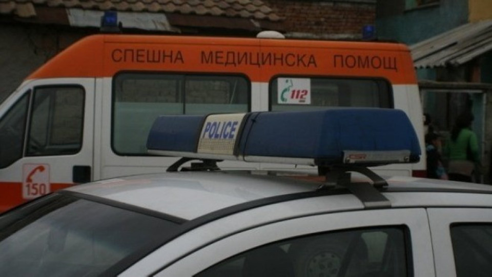 Меле край Добрич. 12 ранени | StandartNews.com