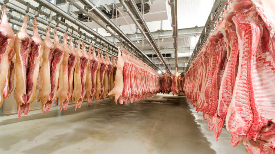 Най-сетне! Падат ограничения за износ на свинско | StandartNews.com