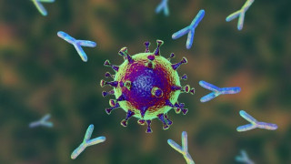 Проучване: Имаме антитела до 8 месеца след К-19