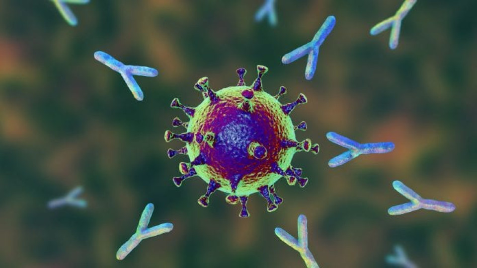 Проучване: Имаме антитела до 8 месеца след К-19 | StandartNews.com