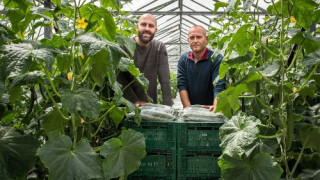 Гард Инвест: Kaufland ни помага да предлагаме качествени зеленчуци