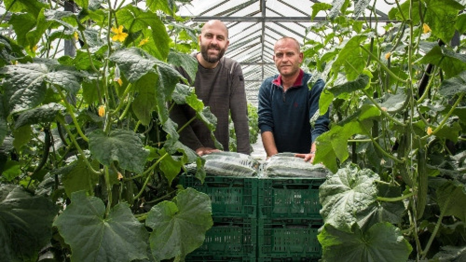 Гард Инвест: Kaufland ни помага да предлагаме качествени зеленчуци | StandartNews.com
