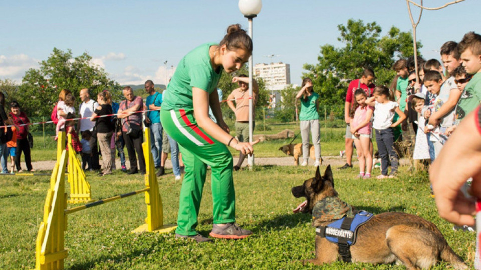 Празник за деца и кучета на 1 юни в Стара Загора | StandartNews.com