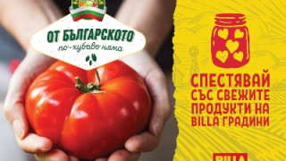 Клиентите на BILLA пестят средства с любимите плодове и зеленчуци