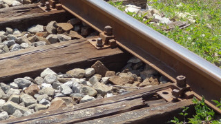 Трагедия. Влакът Бургас-София уби 22 животни