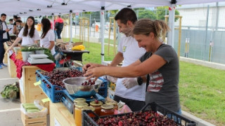 Първите плодове на лятото на фермерския пазар на Lidl