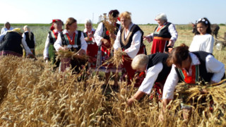 Празник на пшеницата в старозагорското село Пшеничево
