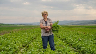 Зар Груп ООД: Kaufland ни дава сигурност и възможност за развитие