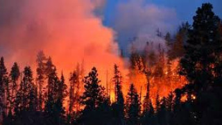Смъртоносни горещини предизвикаха пожари в Канада