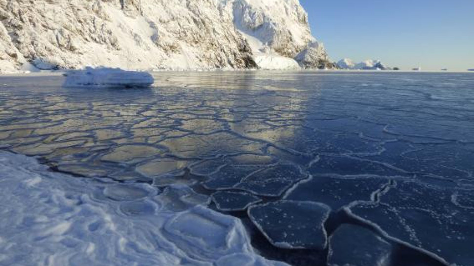 Рекордна температура в Антарктида | StandartNews.com