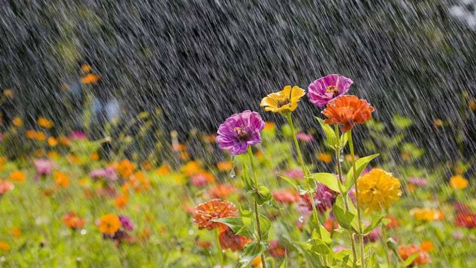 Слънчево, летен дъждец ще разхлади | StandartNews.com