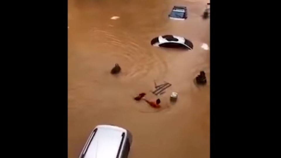 Потоп в Турция! Коли и хора плуват в придошлите води | StandartNews.com