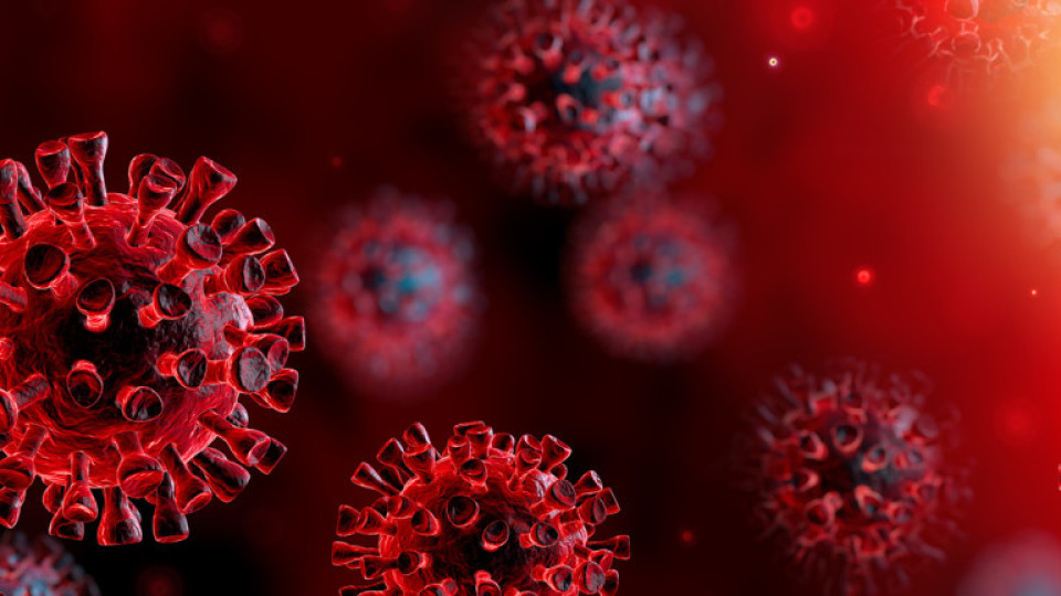 Може ли да се заразим с Ковид-19 след имунизация? | StandartNews.com