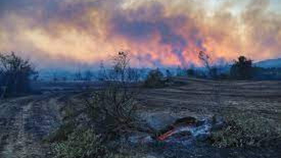 Пожарите в Анталия продължават, но под контрол | StandartNews.com