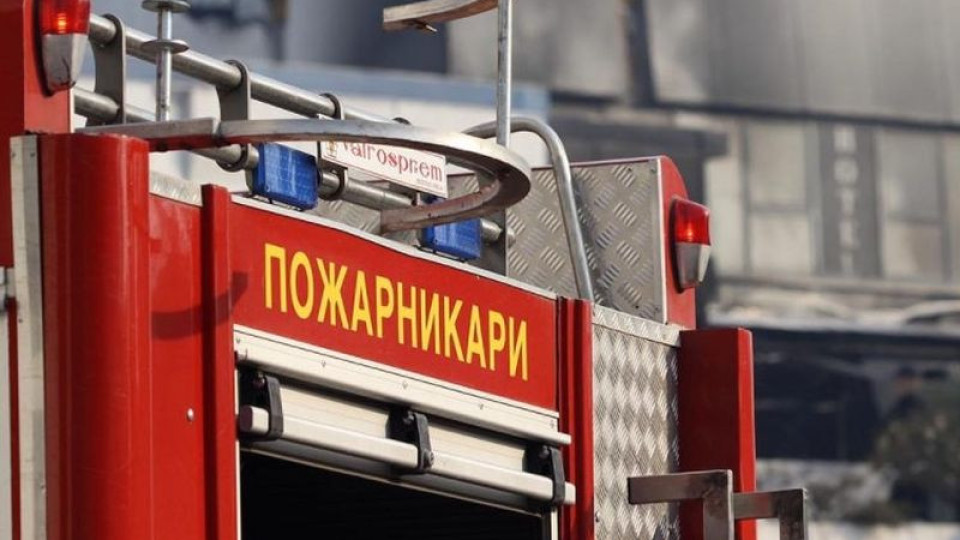 Северна Македония гори! Обявиха кризисно положение | StandartNews.com